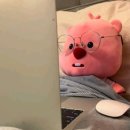 황금회포차 - 성남시 중원구 제일로35번길 19 | 황금회포차