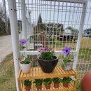 님 바래기 | 여수독채펜션 님바래기로 가족들이랑 여행갔다 온 후기~