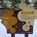 뿌리공원 둘레길 이미지