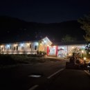 다이노 꽃밭에서 이미지