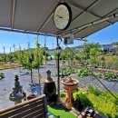 금당엄나무마을 이미지