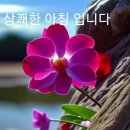 늘좋은날 - 홍성군 | 늘좋은날