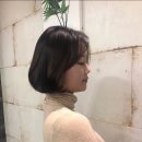 씨에이치오피헤어 네이버블로그