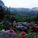 사오리농장 이미지