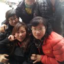 암돼지한마리 이미지