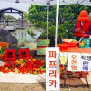 모두락 이미지
