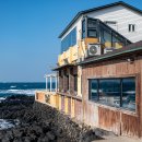 향기가있는풍경 | 제주 애월 카페 봄날 바다 향기에 스민 봄, 내돈내산 힐링 후기