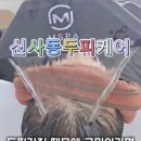 에이바헤어 강남신사점