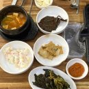 고방골오리 이미지