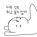 꼬망국수