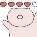 까슬보슬 이미지