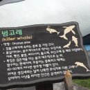 장생포경로당 이미지