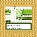 Leader Gym 이미지