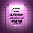 나인레빗