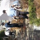 늘푸른6길 이미지