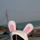 스쿠바캠프 이미지