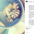 휘성닷컴 카카오 검색결과