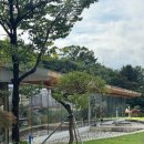 해뜨는 숲속 | 안산 대형카페 [워크안산] 갤러리 감성카페 추천, 숲속 바베큐장 BBQ 글램핑 내돈내산 후기