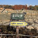 장미의거리12 | 겨울 햇살 속 금당산 등산과 풍암호수, 그리고 장미정원 산책