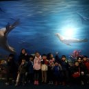 용인대스카이태권도 이미지