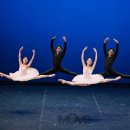 몸으로 그리는 예술, 현대무용의 세계 이미지