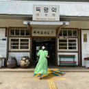 욜로샵 삼돌이아이스크림&커피공간 | 보성 가볼만한곳 봄여행지 대한다원 녹차밭 그리고 여행코스!