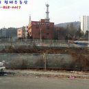 노은예 소아과