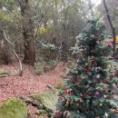 예동 | 기장카페 :: 한옥카페 갤러리예동 솔직후기