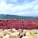 가산수피아 이미지