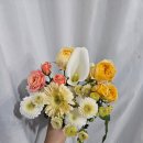 명정농장 이미지