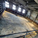 진주익룡발자국전시관 이미지