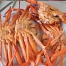 대일회식당