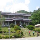 보성녹차(순천) Daum카페