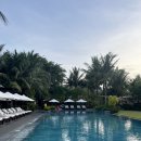 깊은바다(우면점) | 나트랑 더아남 수영장 꿀팁 추천 후기 메인풀 비치풀 라군풀 장단점 비교 더아남버거 솔직후기