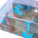 푸른솔아구탕 이미지