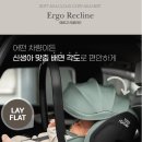 프로세이프 이미지