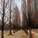 서울숲공원 관리사무소 이미지
