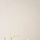 하온 | 광명 하온스튜디오 50일 촬영 후기!