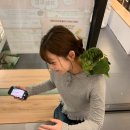 라이온헤어5F