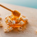 와작와작 이미지