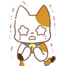 종로안경 이미지