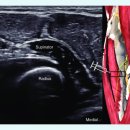 연세신통의원 이미지