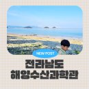 여수교육지원청(본관) | [여행/여수]전남여수해양수산과학관 아이랑가볼만한곳! 여수놀거리/알찬 가족여행필수코스.
