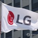 테라비트 이미지