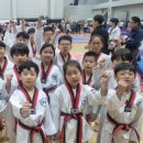 성산 코리아 태권도 이미지