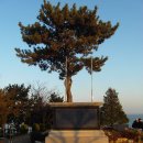 동명불원 이미지