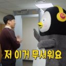 딸부자집 펜션 이미지