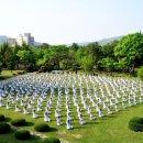 아리랑활력무 이미지