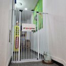 야옹아 놀자 캣카페 | [경주] 매력덩어리 고양이들이 가득한 곳🧡 &#34;야옹아놀자 캣카페&#34; 리뷰🐱