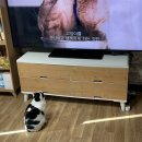 아 맞다 정신